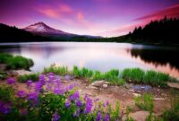 schoene hintergrundbilder