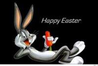 bilde ostern bilde ostern