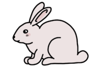 hase zeichnen einfach kinder