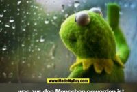 witzig profilbilder lustig