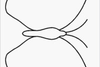 ausmalbild schmetterling pdf