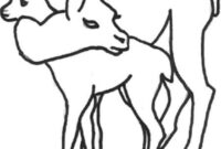 alpaka bilder kostenlos zum ausdrucken alpaka bilder kostenlos zum ausdrucken