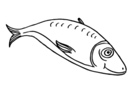 ausmalbild fisch ausmalbild fisch
