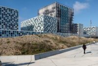 la corte penal internacional pdf