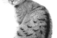 tiere zum malen tiere zum malen