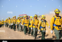 cal fire uniform policy cal fire uniform policy