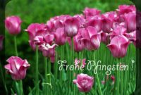 bilder kostenlos pfingsten