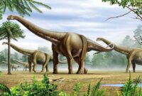 dinosaurier fotos dinosaurier fotos