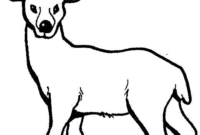 reh ausmalbild reh ausmalbild