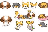 hunde kawaii hunde kawaii