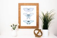 wandbild schmetterling