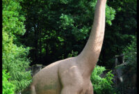 triceratops in einem land vor unserer zeit