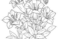 pflanzen ausmalbilder pflanzen ausmalbilder