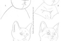 tiere zeichnen lernen tiere zeichnen lernen