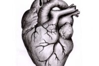 wie malt man ein herz