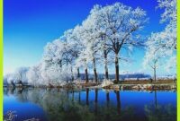 kostenloser bilder download