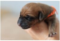 heute vor 4 jahren fotos heute vor 4 jahren fotos