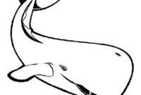 ausmalbild wal ausmalbild wal