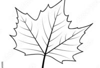 ahorn blatt zum ausdrucken