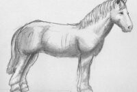 pferde zeichnen leicht pferde zeichnen leicht