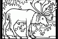 ausmalbilder zum ausdrucken tiere
