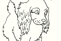 tiere vorlagen tiere vorlagen