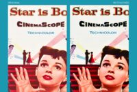a star is born 1954 film imdb a star is born 1954 film imdb