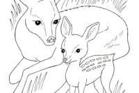 ausmalbild rehkitz ausmalbild rehkitz