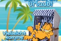 bilder lustig kostenlos bilder lustig kostenlos