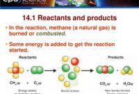 substances produced in a chemical reaction substances produced in a chemical reaction