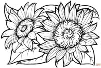 sonnenblume ausmalbild sonnenblume ausmalbild