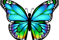 schmetterling vorlage bunt schmetterling vorlage bunt