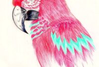 papagei zeichnen einfach