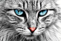 schöne hintergrundbilder katzen schöne hintergrundbilder katzen
