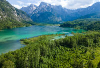 kostenlose fotos downloaden kostenlose fotos downloaden