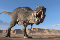 trex bild trex bild