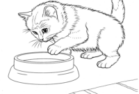 katzen ausmal bilder