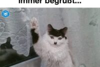 kostenlose lustige