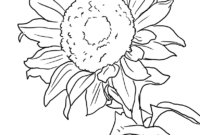 malvorlage sonnenblumen malvorlage sonnenblumen