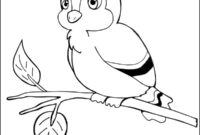 vorlagen vögel zum ausdrucken vorlagen vögel zum ausdrucken