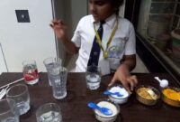 a liquid that dissolves substances a liquid that dissolves substances