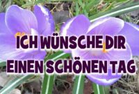 guten tag wünschen bilder guten tag wünschen bilder