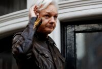 what did assange do what did assange do