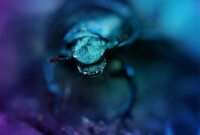 monster bilder gruselig monster bilder gruselig