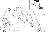 ausmalbilder schwan ausmalbilder schwan