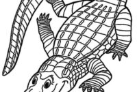 malbilder tiere malbilder tiere