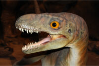 vor langer zeit rätsel vor langer zeit rätsel