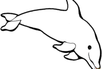 delphin bilder zum ausmalen delphin bilder zum ausmalen