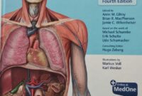 gilroy atlas of anatomy