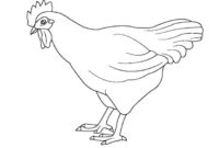 huhn malen vorlage